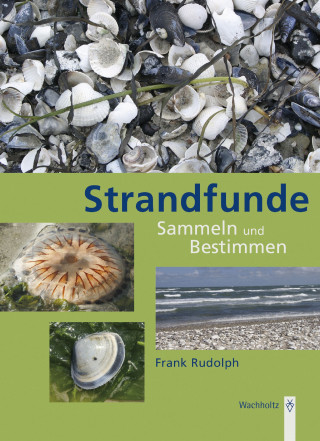 Frank Rudolph: Strandfunde