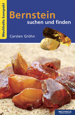 Carsten Gröhn: Bernstein suchen und finden KOMPAKT