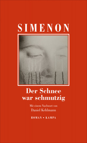 Georges Simenon: Der Schnee war schmutzig