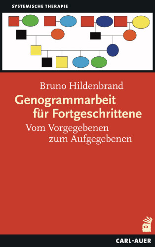 Bruno Hildenbrand: Genogrammarbeit für Fortgeschrittene