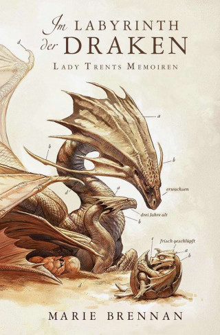 Marie Brennan: Lady Trents Memoiren 4: Im Labyrinth der Draken