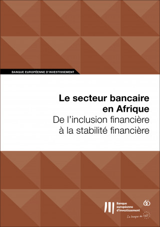 Le secteur bancaire en Afrique: De l'inclusion financière à la stabilité financière