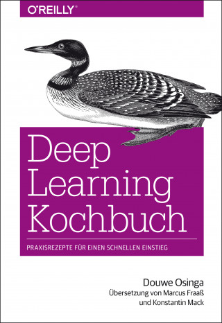 Douwe Osinga: Deep Learning Kochbuch