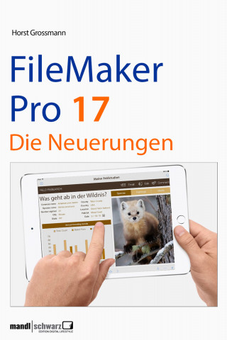 Horst Grossmann: FileMaker Pro 17