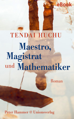 Tendai Huchu: Maestro, Magistrat und Mathematiker