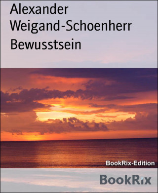 Alexander Weigand-Schoenherr: Bewusstsein