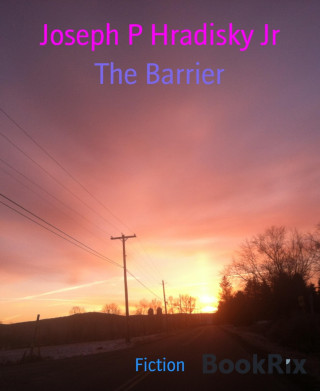 Joseph P Hradisky Jr: The Barrier