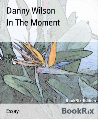 Danny Wilson: In The Moment