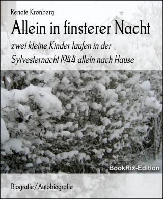 Renate Kronberg: Allein in finsterer Nacht