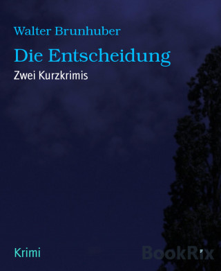 Walter Brunhuber: Die Entscheidung