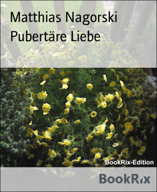 Matthias Nagorski: Pubertäre Liebe