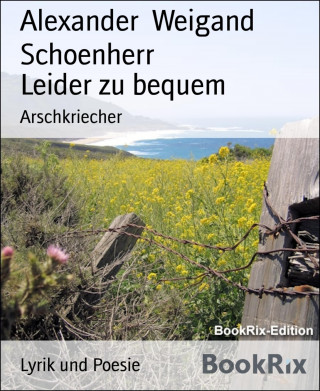 Alexander Weigand Schoenherr: Leider zu bequem