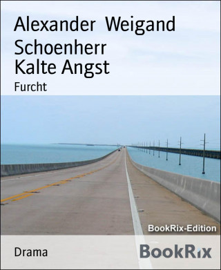 Alexander Weigand Schoenherr: Kalte Angst