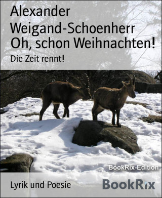 Alexander Weigand-Schoenherr: Oh, schon Weihnachten!