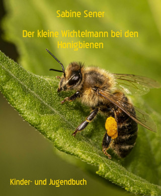 Sabine Sener: Der kleine Wichtelmann bei den Honigbienen