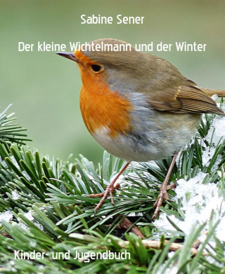 Sabine Sener: Der kleine Wichtelmann und der Winter