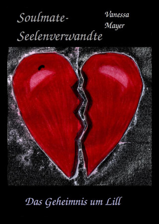 Vanessa Mayer: Soulmate- Seelenverwandte