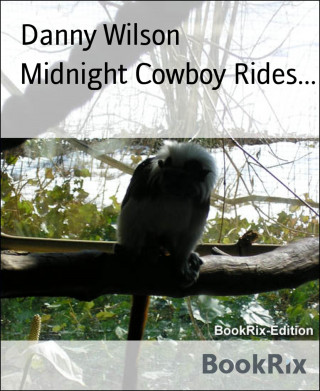 Danny Wilson: Midnight Cowboy Rides...