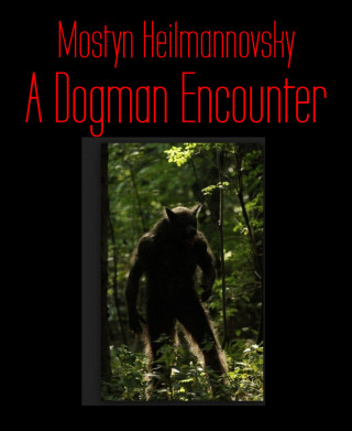 Mostyn Heilmannovsky: A Dogman Encounter