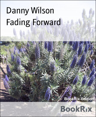 Danny Wilson: Fading Forward