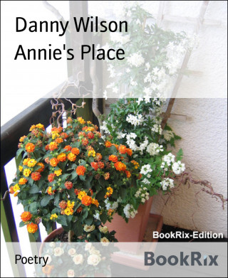 Danny Wilson: Annie's Place