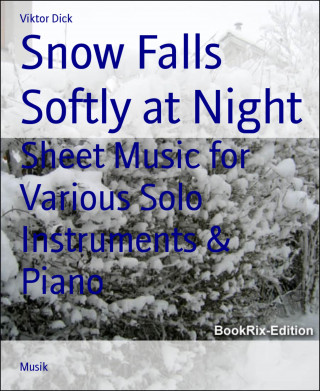 Viktor Dick: Snow Falls Softly at Night