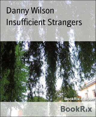 Danny Wilson: Insufficient Strangers