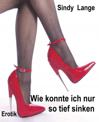 Sindy Lange: Wie konnte ich nur so tief sinken,