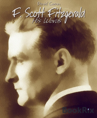 Daniel Coenn: F. Scott Fitzgerald