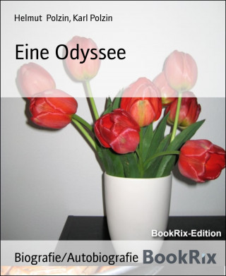 Helmut Polzin, Karl Polzin: Eine Odyssee