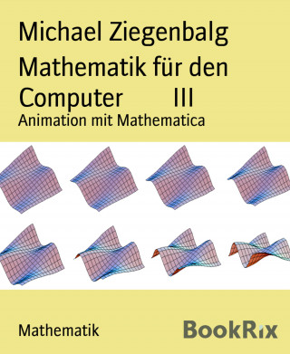 Michael Ziegenbalg: Mathematik für den Computer III