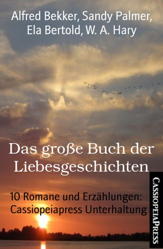 Alfred Bekker, Sandy Palmer, Ela Bertold, W. A. Hary: Das große Buch der Liebesgeschichten