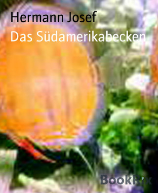 Hermann Josef: Das Südamerikabecken