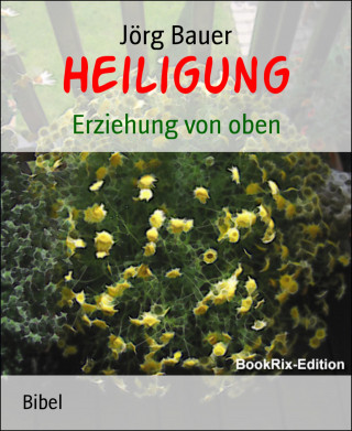 Jörg Bauer: Heiligung