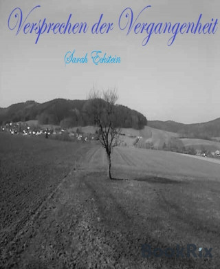 Sarah Eckstein: Versprechen der Vergangenheit