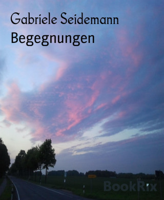 Gabriele Seidemann: Begegnungen