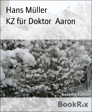 Hans Müller: KZ für Doktor Aaron