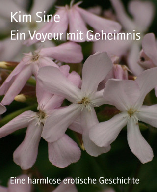 Kim Sine: Ein Voyeur mit Geheimnis