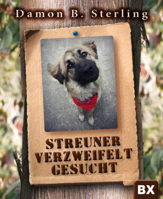 Damon B. Sterling: Streuner verzweifelt gesucht