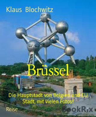 Klaus Blochwitz: Brüssel