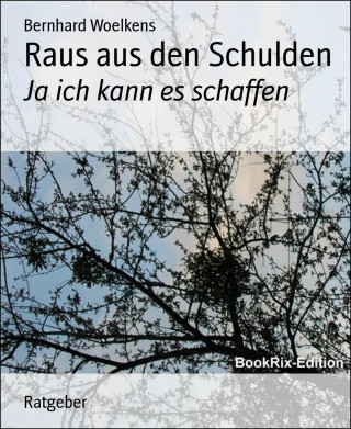 Bernhard Woelkens: Raus aus den Schulden