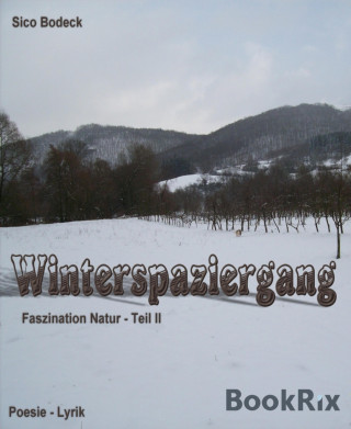 Sico Bodeck: Winterspaziergang