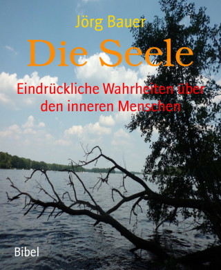 Jörg Bauer: Die Seele