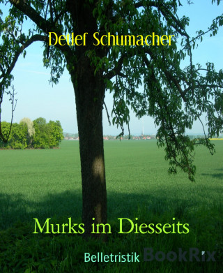 Detlef Schumacher: Murks im Diesseits