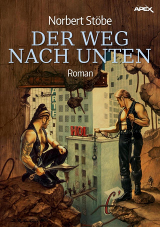 Norbert Stöbe: DER WEG NACH UNTEN