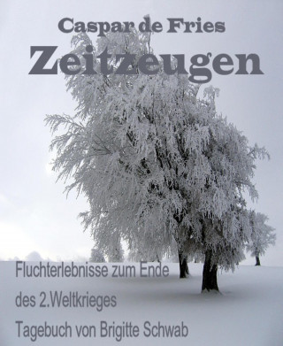 Caspar de Fries, Brigitte Schwab: Zeitzeugen
