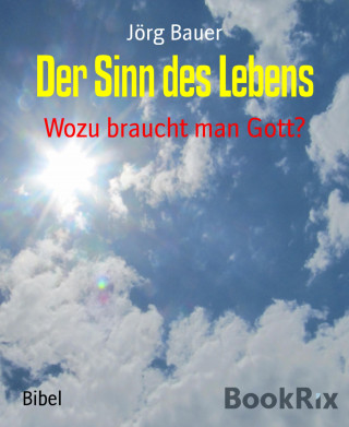 Jörg Bauer: Der Sinn des Lebens