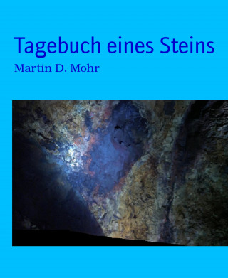 Martin D. Mohr: Tagebuch eines Steins