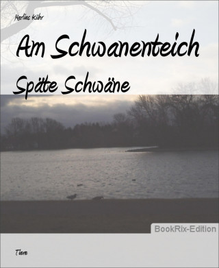 Marlies Kühr: Am Schwanenteich