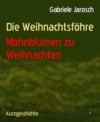 Gabriele Jarosch: Die Weihnachtsföhre